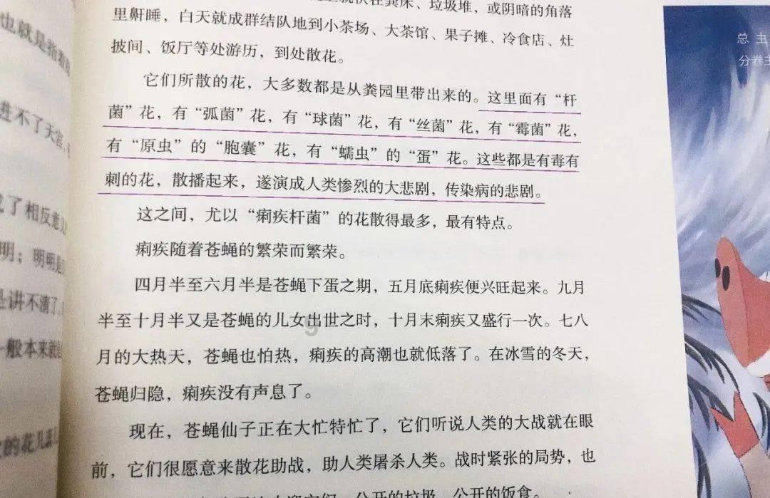 纯种波斯猫价格 建议多了解它的性格