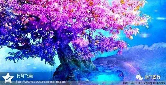 大连金州区一厂房发生大火，现场黑烟弥漫：目前火已及时扑灭
